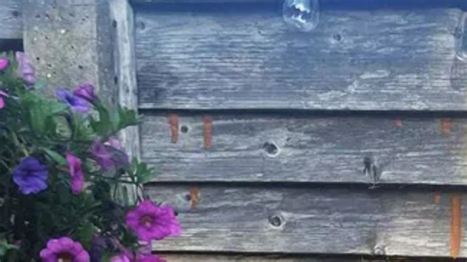 I installed a lovely fence but my neighbour hated it - her actions ruined it