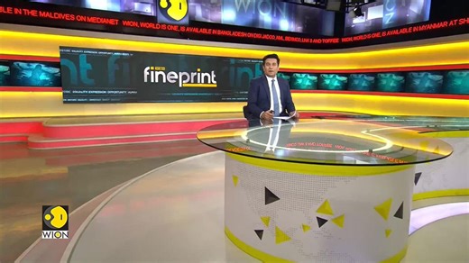 Elderly & disabled cats live in peace & companionship