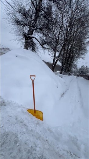 Stop praying for snow, there's nowhere to put it anymore.