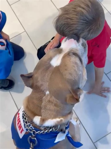 Awesome Paws Rescue on Reels