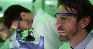 Researcher Working Examine Close Radish Seedlings: Video có sẵn (100% miễn phí bản quyền) 29465521 | Shutterstock