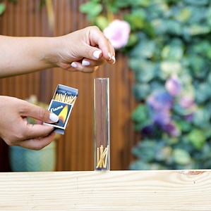 574K views · 1.1K reactions | Pro tips to make healthy garden! | Green Bean | Facebook