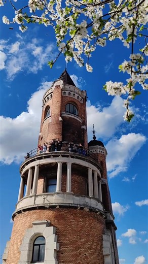 Zemunska bajka 🌸🤩 Zahvaljujemo se @iwanicazemun 👏🏻 . . . #Zemun #Gardos #Beograd #Belgrade #Srbija #Serbia #visitbelgrade | Visit Belgrade