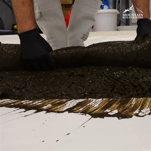 731K views · 5.8K reactions | This Rug Looks ALIVE!! | Mountain Rug Cleaning | Facebook