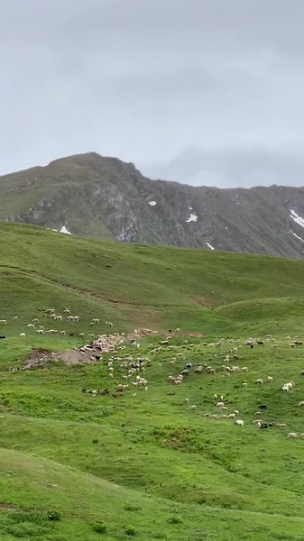 Videos de Landscape Albania (@landscape_albania) con “In The End - Mellen Gi Remix - Tommee Profitt”