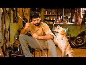 After The Death Of His Family In Front Of His Eyes, He Meets A WONDERFUL Dog Changes His Life