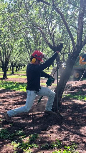 Dealing with Orchard Pests: The Rodinator 5000 at Work