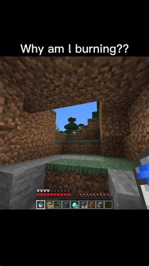 Minecraft #songlyrics