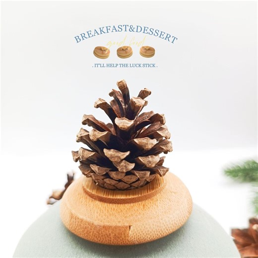 Golden Pine Cone Christmas Ornaments - Set of 12 - Etsy