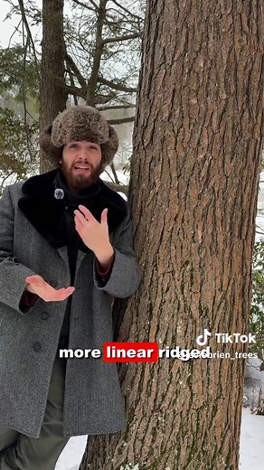 Exploring Eastern Hemlock Bark Characteristics and Changes