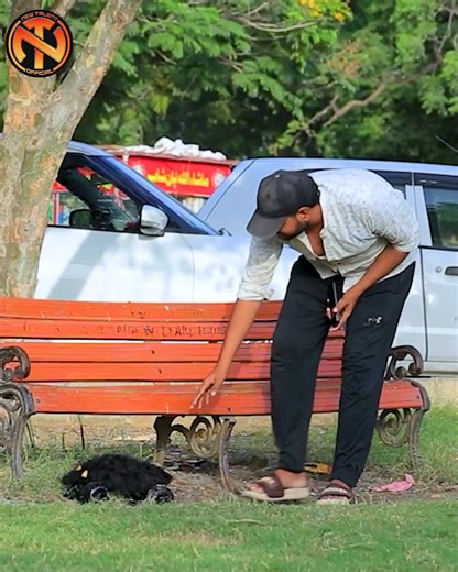 1.2M views · 33K reactions | Remote Rat Prank | Rizwan khan | Facebook