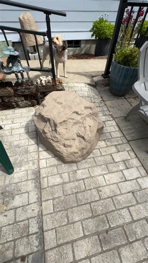 Watch Enhance Your Garden Natural-Looking Landscape Rock on Amazon Live