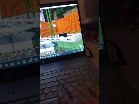 Minecraft MRT Multiplayer Server 2026 Zoo Bristol Video