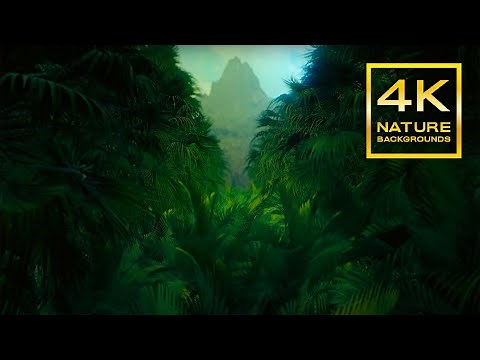 Green Jungle And Tropical Fog 5 Hours | 4K Nature Backgrounds
