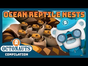 ‪@Octonauts‬ - 🐍🐢 Ocean Reptile Nests 🪺🐊 | 3 Hours+ Full Episodes Marathon
