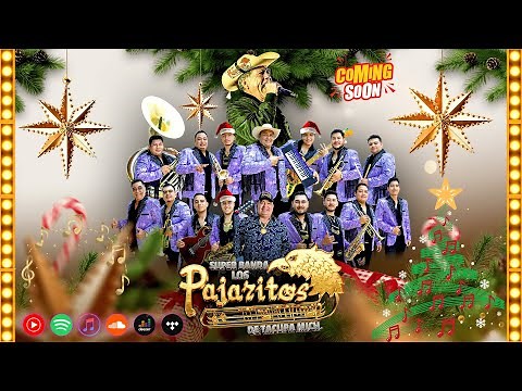 📀 Super Banda Los Pajaritos de Tacupa 🔥 20 Éxitos Inolvidables | Puro Tierra Caliente Mix 2025 📀