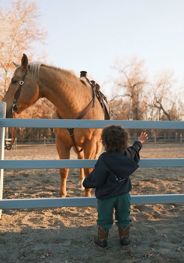 Experience Horseback Riding Lessons at Angel M Ranch