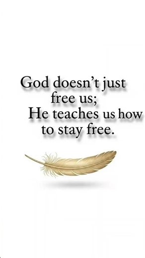 Free… But Not Yet Transformed