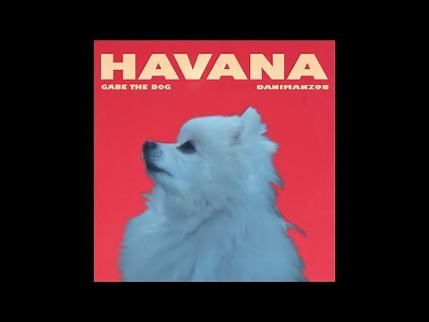 Gabe the dog - Havana