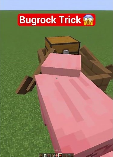 Minecraft Bugrock Trick 🤡 (Worlds Smallest Violin) #shorts #minecraft