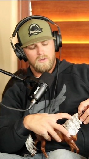 3.7K views · 50 reactions | Opt for 2-3 inch sections when braiding to minimize pulling, damage, and rubbing. Toy horse demonstration for the win! #braiding #mane #tail #horses #equine #grooming | BioMane Products | Facebook