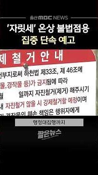 '자릿세' 온상 불법점용‥ 집중 단속 예고