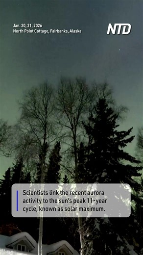 Timelapse video from Alaska captured the night sky over Fairbanks lit up by an aurora on Tuesday (January 20) and Wednesday (January 21). | NTD Life