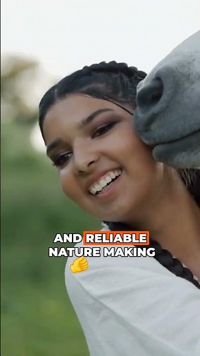 Top 10 Rarest Horse Breeds You Didn't Know About!