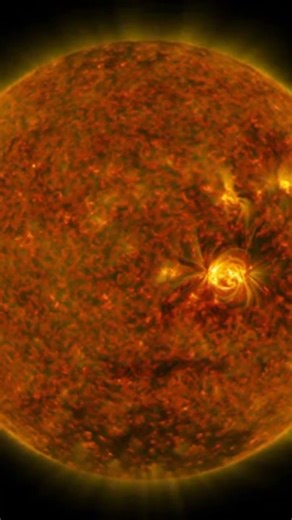 Every Decision Creates a NEW UNIVERSE... The Multiverse Is REAL?! 🌌✨ #shorts