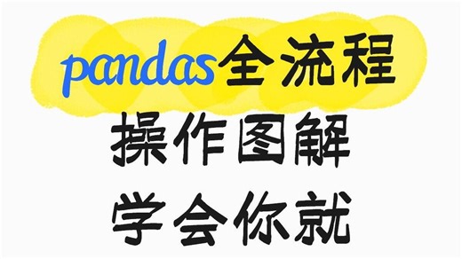 【2025 pandas 操作图解】pandas全流程操作图解，学会你就牛了