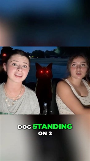 I Found a Real Skinwalker!