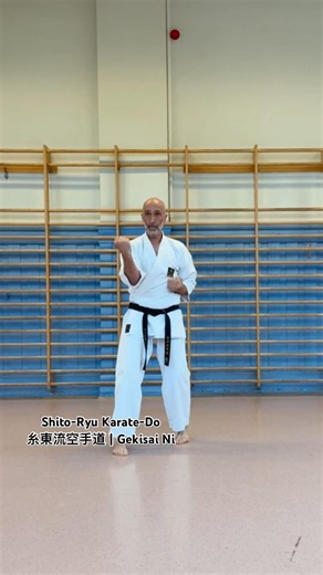 Gekisai Ni | Kofukan Shito-Ryu Karate