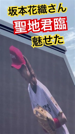 #甲子園 #坂本花織 #hanshintigers #阪神 #始球式 #西宮