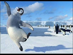 Tučňáčí hymna / Penguin´s anthem