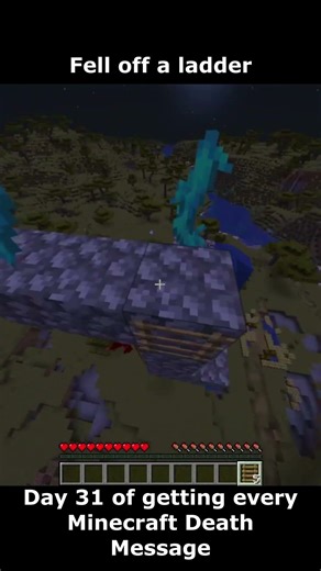 Day 31 of getting every Minecraft Death Message (Fell off a ladder)