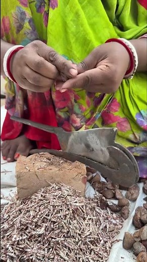 Amazing Betel Nut Cutting Skills by Rural Women.