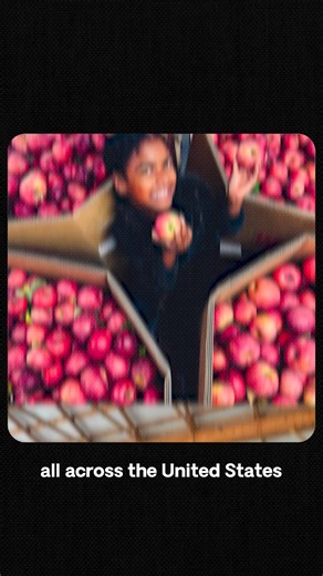 1.2M views · 22 reactions | Join the movement!  Landfills don't need food—people do. With your help, we can get fresh produce to those in need. | The Farmlink Project | Facebook