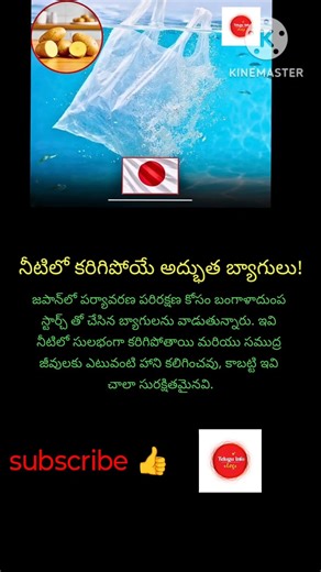 #Japan #Environment #EcoFriendly #Sustainability #PlasticFree #PotatoStarch #SaveTheOcean #Innovatio