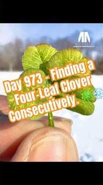 Day 973- Finding a Four-leaf Clover Consecutively. 🍀❄️