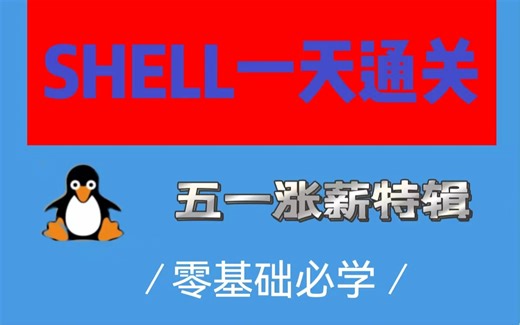 五一特辑【通俗易懂-1天通关Shell】，基础入门到实战教程，假期闭关一天，学会就涨5k！