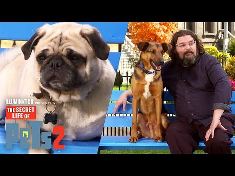 The Secret Life of Pets 2 | The Cast and Their Pets | Bonus Clip | Now on 4K, Blu-ray, DVD & Digital