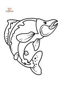 Salmon coloring page - Download, Print, and Color Online!