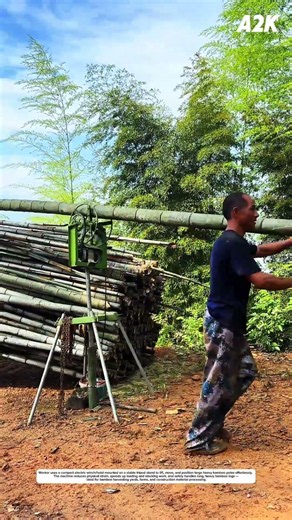 Portable Electric Bamboo Hoist