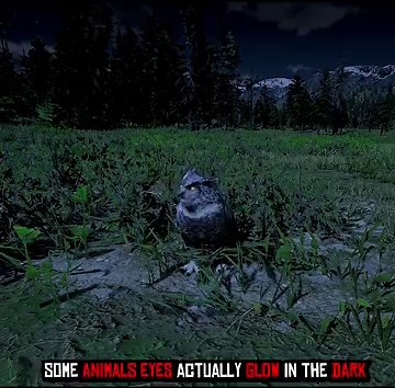 39K views · 413 reactions | 5 Amazing Details You Didn't Know About Part 4 - Red Dead Redemption 2 #RDR2 #Secret #maps #Location #Mystery #Mission #fyp #gaming | OptimuS Prime | Facebook