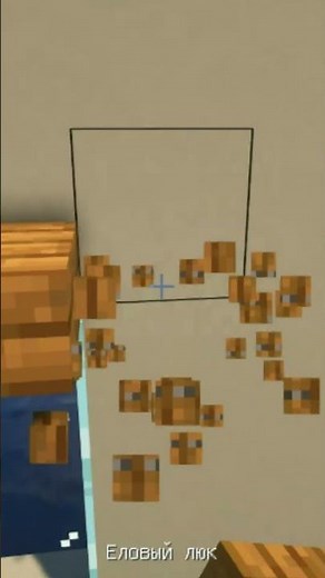 Huge Minecraft Window