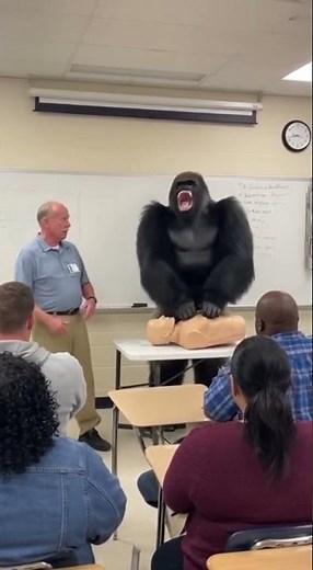 This CPR Lesson Gets Wild Fast!