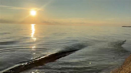 Yes! This is Hopkins! Goodmorning from a spectacular sunrise on the beach! 📷: #HopkinsUnCut | Hopkins UnCut