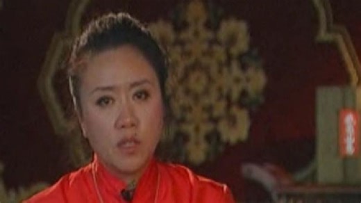 央视 2011 综合电视节目 (11)