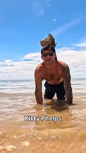 33K views · 40K reactions | If you socialize kittens like puppies, they can really learn to do a lot. People forget that cats can be awesome pets too! #familypets #fblifestyle #petfriends #amazinganimals | Thinking Canine | Facebook