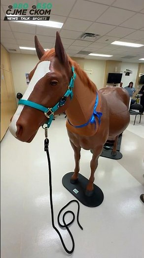 Life-sized horse models give USask vet students a real foaling experience—without the risk 🐴